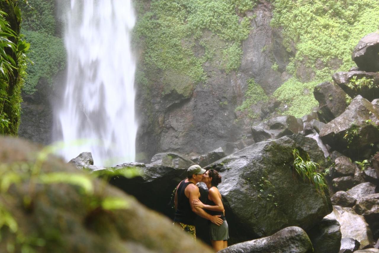 Jungle Bay Dominica Hotel Soufriere Ngoại thất bức ảnh