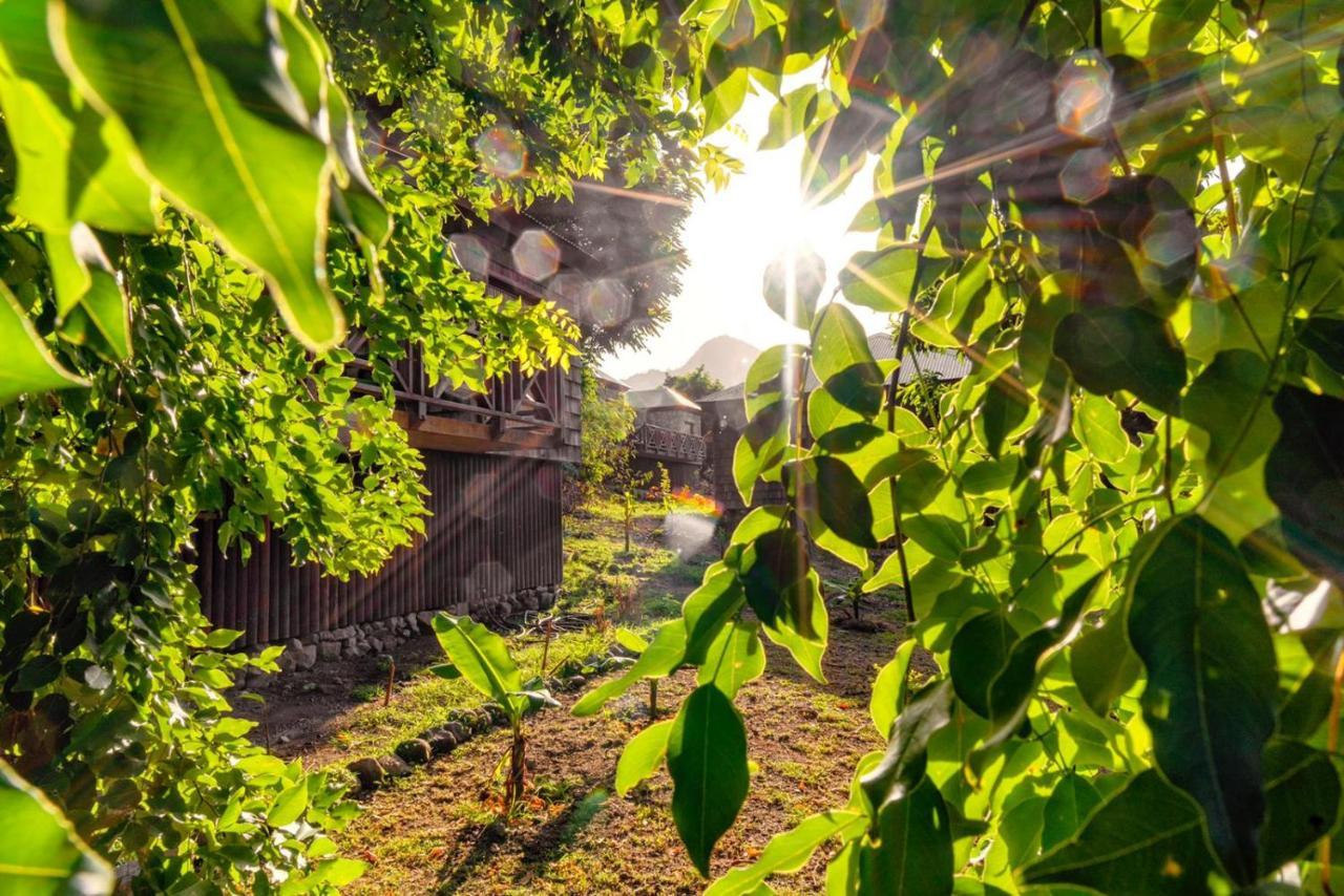 Jungle Bay Dominica Hotel Soufriere Ngoại thất bức ảnh